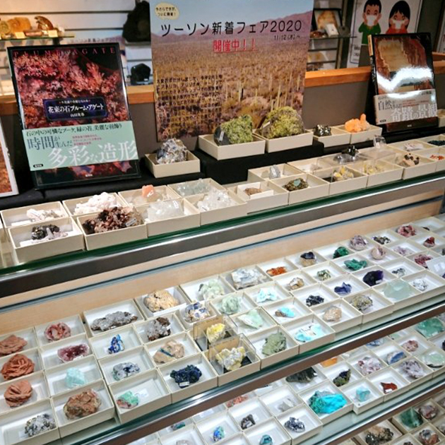 ツーソン新着フェア2020開催中！－新宿ショールーム｜化石販売・鉱物