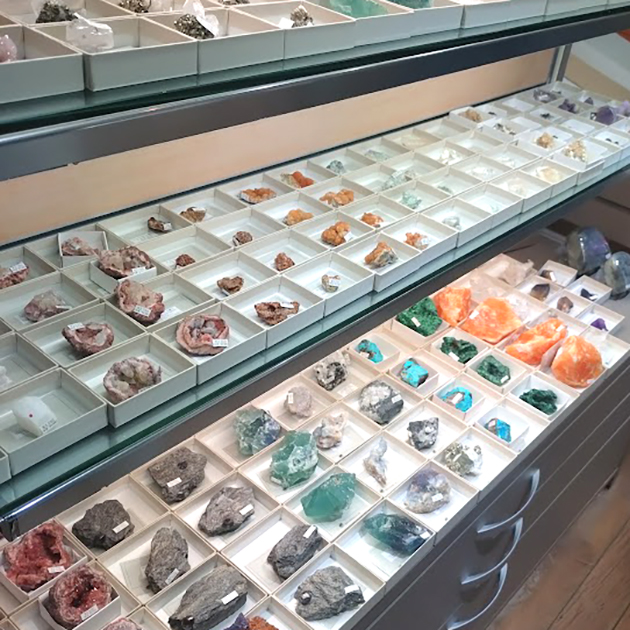 ツーソン新着フェア2024」開催中！−新宿ショールーム｜化石販売・鉱物