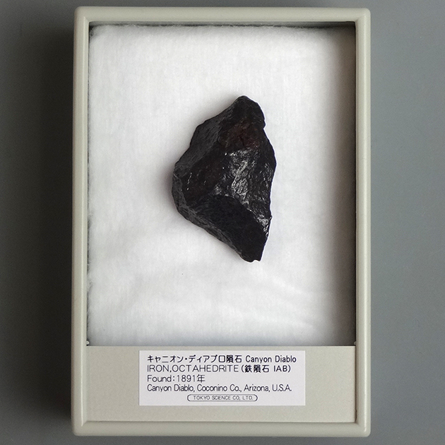 キャニオンディアブロ隕石｜化石販売・鉱物販売の東京サイエンス