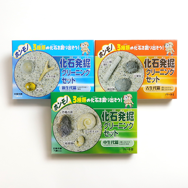 北海道中川 ノジュール クリーニング 化石掘り 砂利・石・枕木