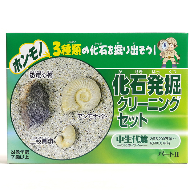 化石発掘クリーニングセット｜実験・体験シリーズ｜化石販売・鉱物販売