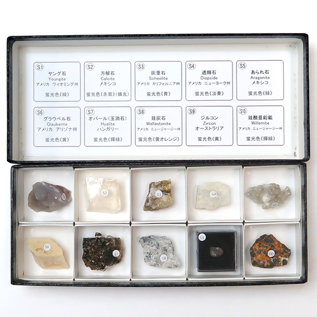蛍光鉱物標本10種 短波｜化石販売・鉱物販売の東京サイエンス