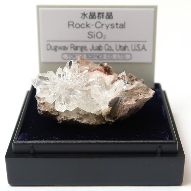 ミニ鉱物標本－1－｜ミニ鉱物標本シリーズ｜化石販売・鉱物販売の東京 