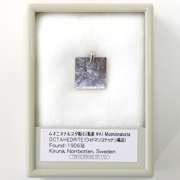隕石アクセサリ｜化石販売・鉱物販売の東京サイエンス