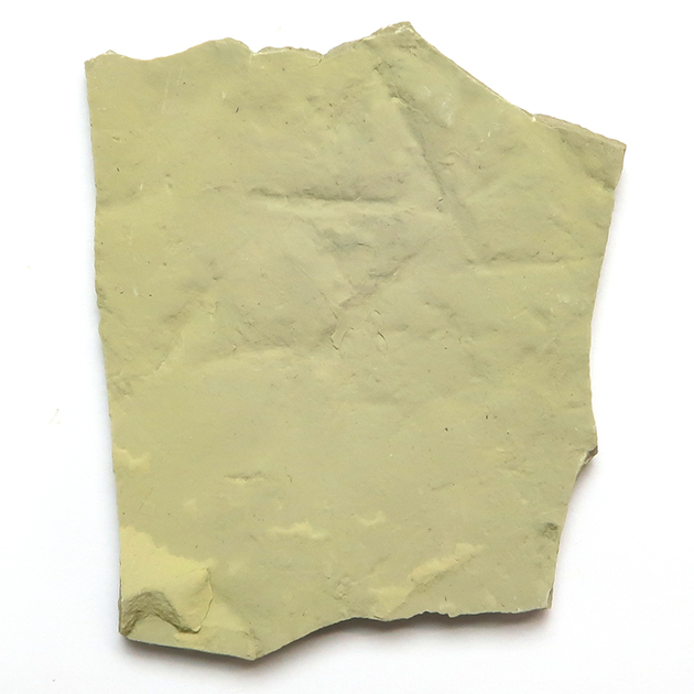 #化石 #動物足跡 FPDM: 標本データベース - 獣脚類の足跡化石