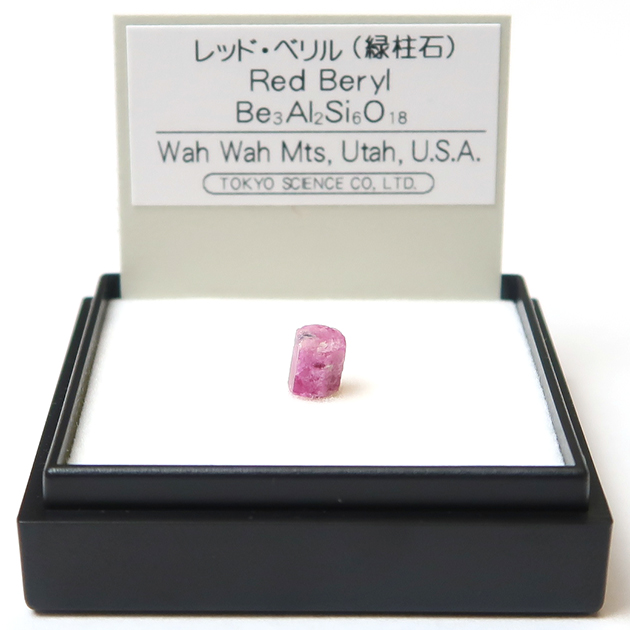最新作 レッドベリル（ミニ鉱物）｜化石販売・鉱物販売の東京サイエンス その他