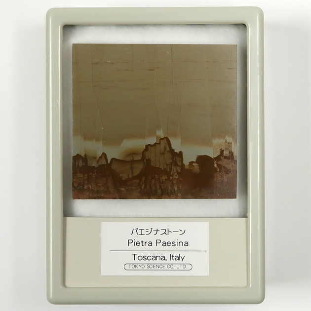 パエジナストーン（Pietra Paesina）｜化石販売・鉱物販売の東京
