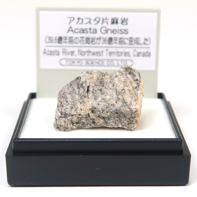 南極の石　複輝石片麻岩　貴重 アカスタ片麻岩（Acasta Gneiss）｜化石販売・鉱物販売の東京