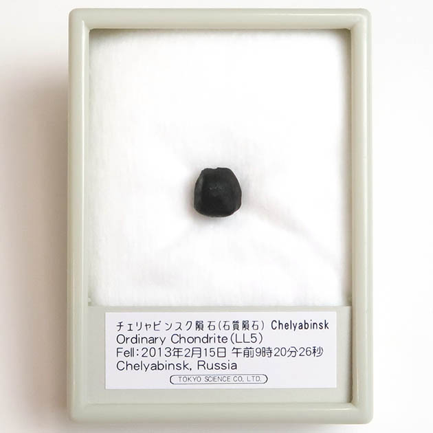 チェリャビンスク隕石 1.8g | www.piazzagrande.it
