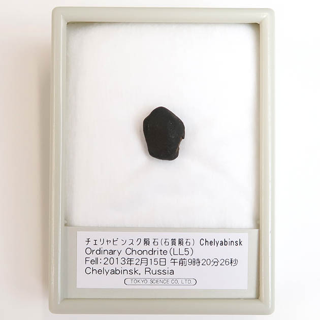チェリャビンスク隕石（Chelyabinsk）｜化石販売・鉱物販売の東京 