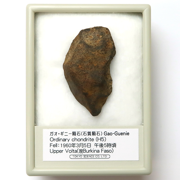 ガオ・ギニー隕石（Gao-Guenie）｜化石販売・鉱物販売の東京サイエンス