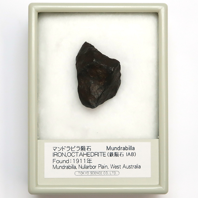 【錆あり】マンドラビラ隕石 101g NO.214