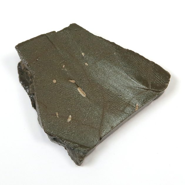 アンモライト（Ammolite）｜化石販売・鉱物販売の東京サイエンス