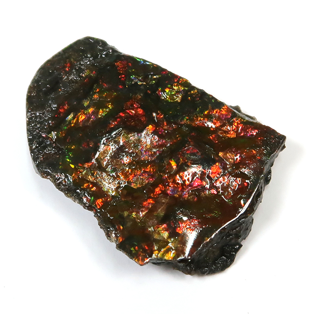 アンモライト（Ammolite）｜化石販売・鉱物販売の東京サイエンス