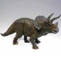 トリケラトプスモデル