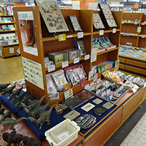 紀伊國屋書店長崎店