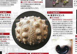 IMAGE2014 国際ミネラルアート&ジェム展