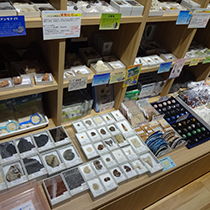 紀伊國屋書店西武渋谷店