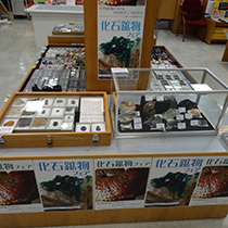 紀伊國屋書店神戸店