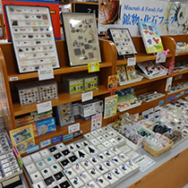 紀伊國屋書店さいたま新都心店