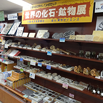 紀伊國屋書店広島店