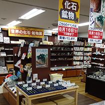 紀伊國屋書店広島店