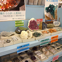 紀伊國屋書店ららぽーと豊洲店