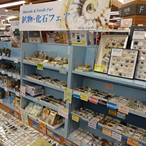 紀伊國屋書店ららぽーと豊洲店