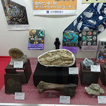 世界の化石鉱物展―紀伊國屋書店梅田本店