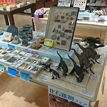 紀伊國屋書店吉祥寺東急店