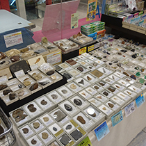 紀伊國屋書店浦和パルコ店