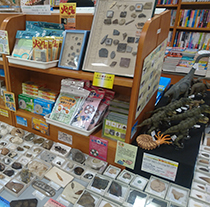 紀伊國屋書店さいたま新都心店