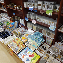 紀伊國屋書店熊本光の森店