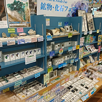 紀伊國屋書店ららぽーと豊洲店