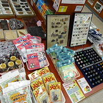 紀伊國屋書店長崎店