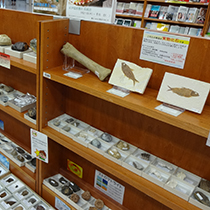 紀伊國屋書店長崎店