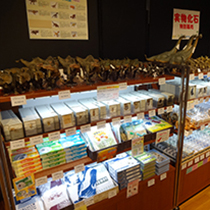 大むかしの生きもの展
