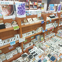 紀伊國屋書店 長崎店