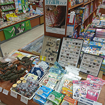 紀伊國屋書店 長崎店