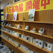 紀伊國屋書店梅田本店