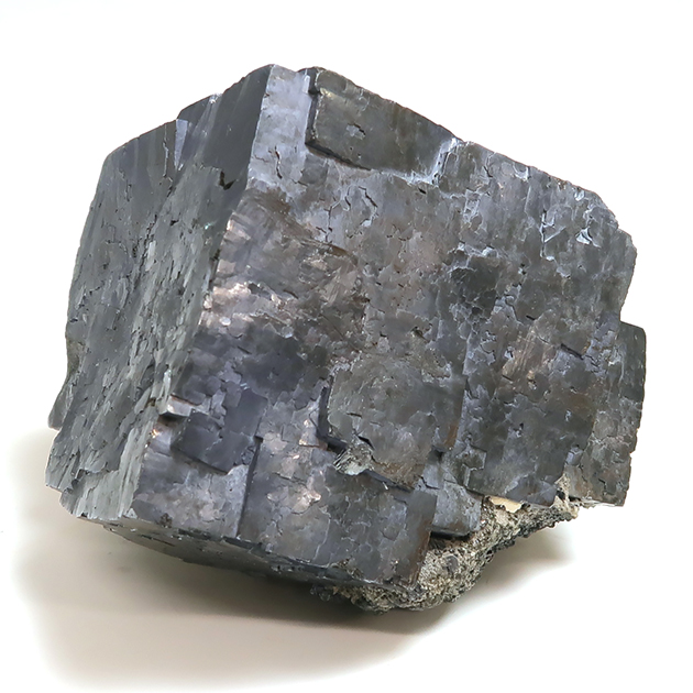 ツーソン新着フェア2024のお知らせ−新宿ショールーム｜化石販売・鉱物販売の東京サイエンス