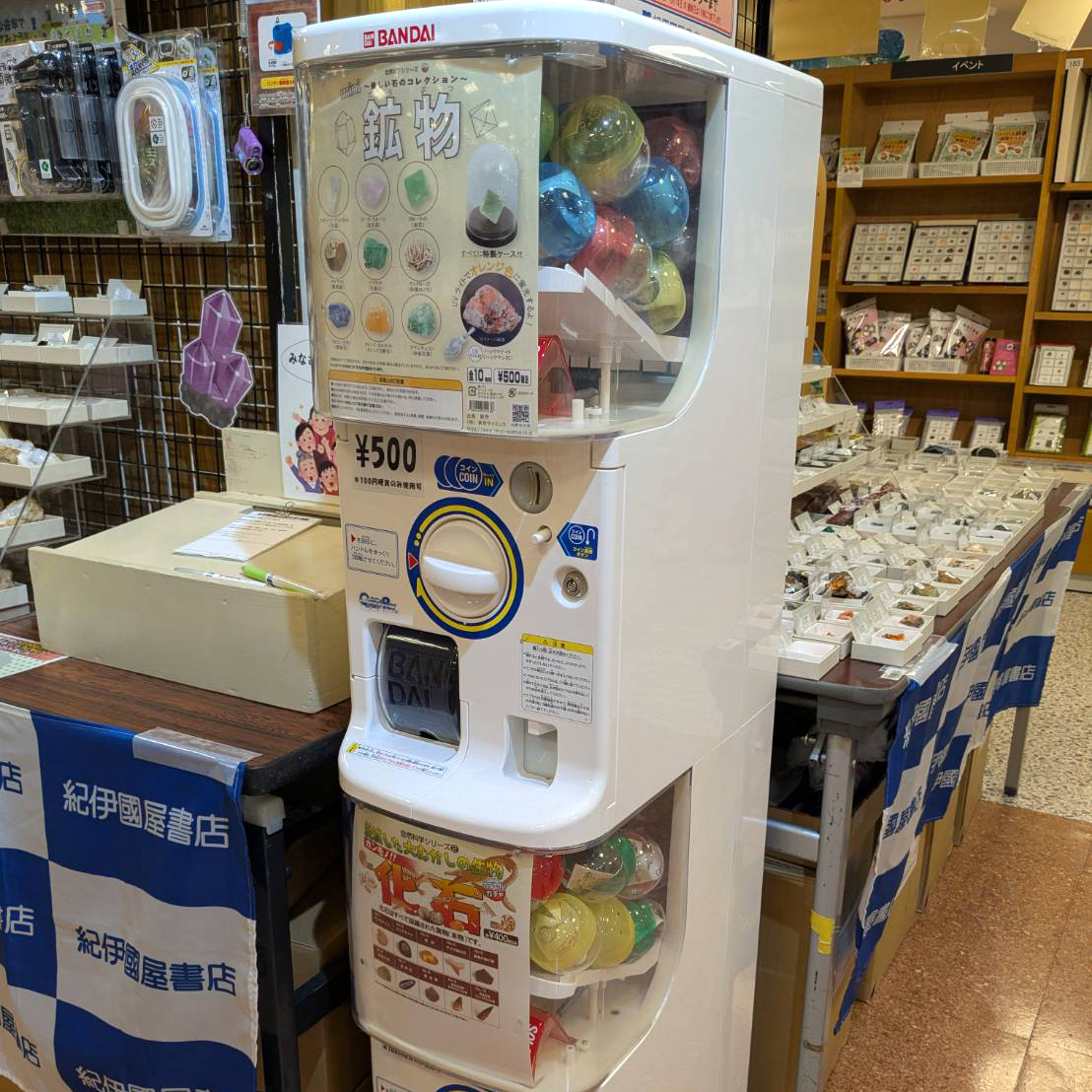 カプセル標本