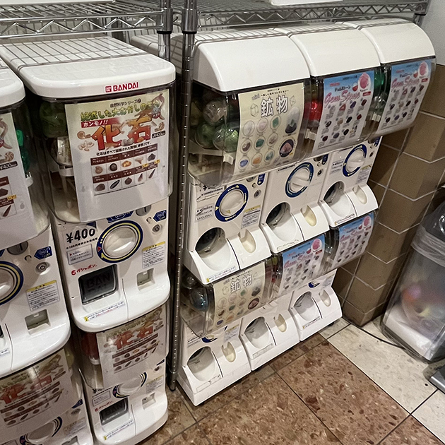 カプセル標本