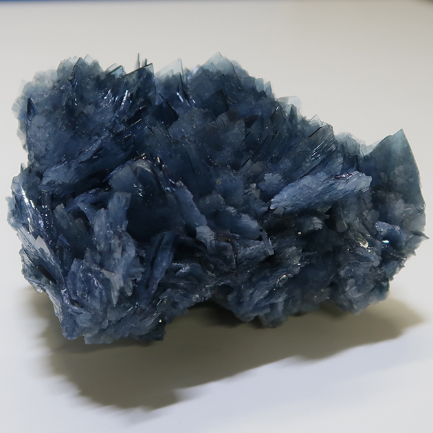 ミュンヘン新着フェア2026