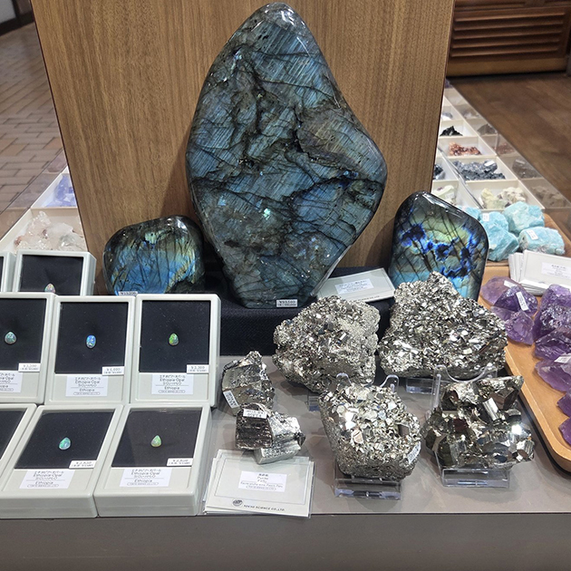 ミュンヘン新着フェア2026