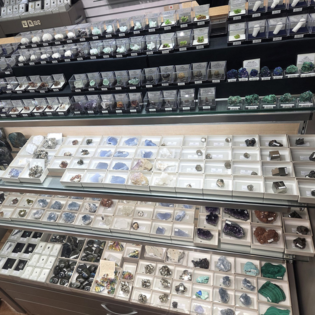 ミュンヘン新着フェア2026