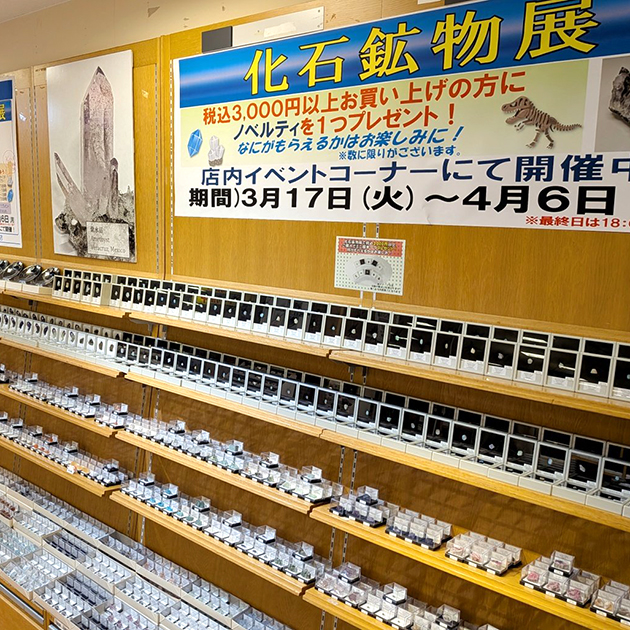 紀伊國屋書店梅田本店
