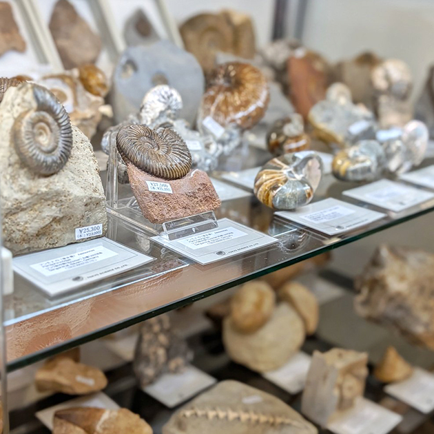 紀伊國屋書店梅田本店