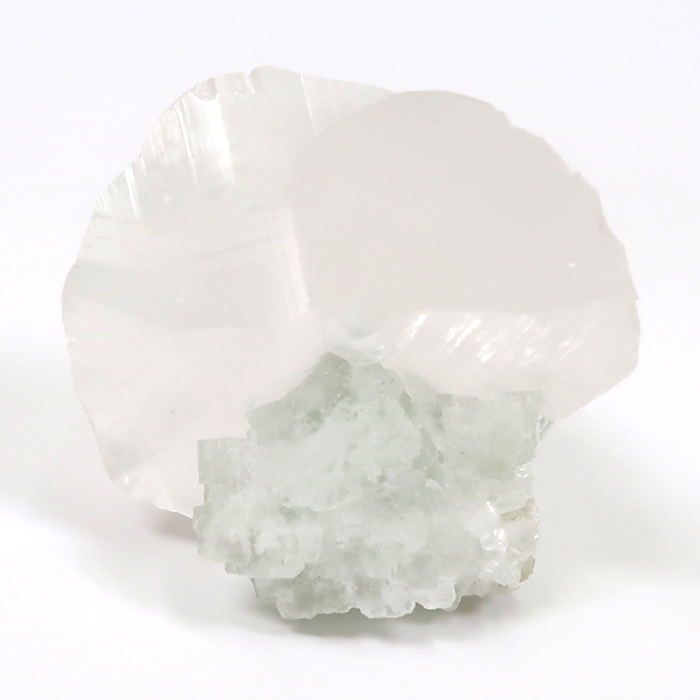 ツーソン新着フェア2026