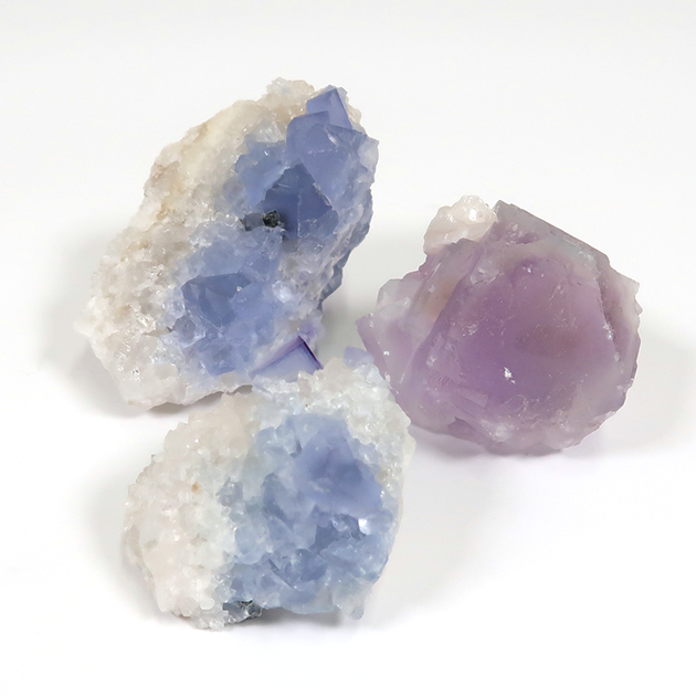 ツーソン新着フェア2026